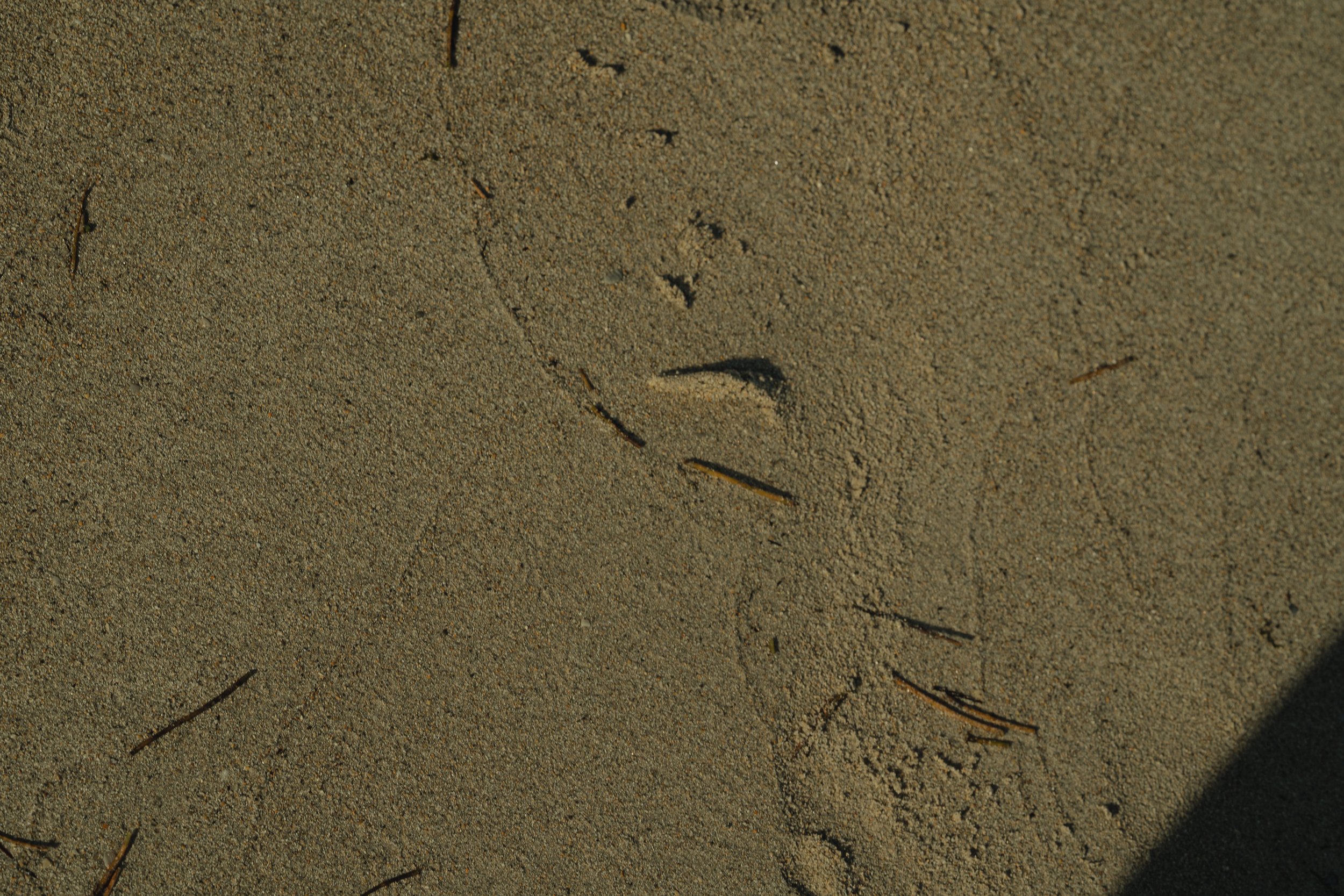 Happy Aging - Photo by Ton Gomes-012.jpg